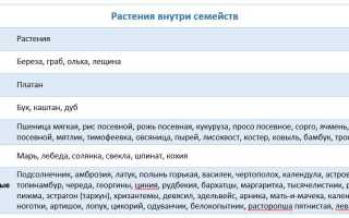Аллергенные травы